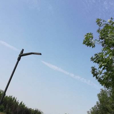 仙神墟官方版下载